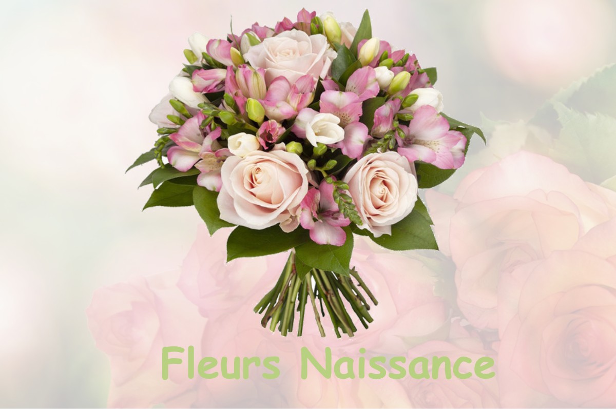 fleurs naissance BEAUMONT-SUR-LEZE