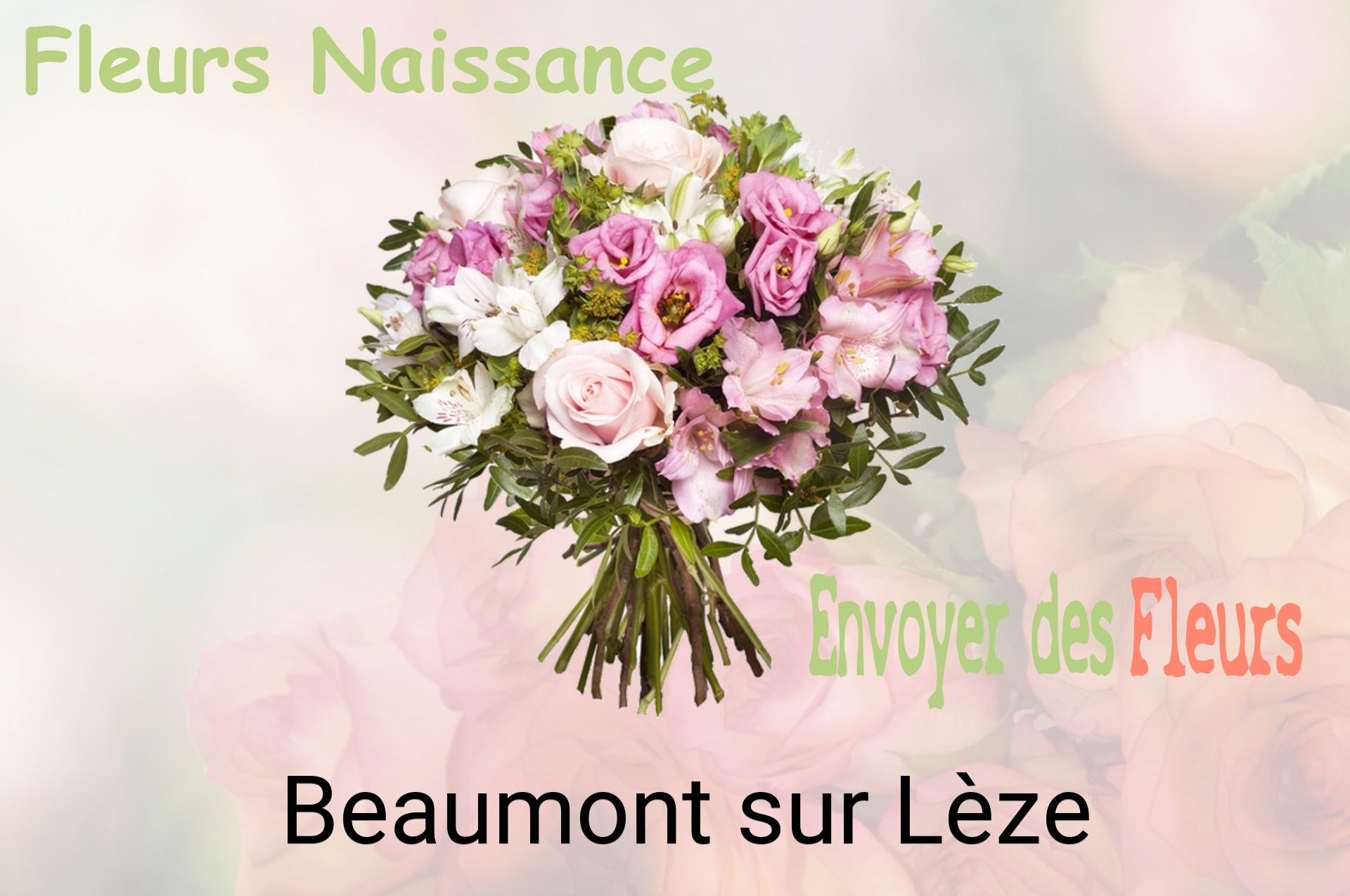 Bouquet de fleurs de naissance livré à Beaumont-sur-Lèze