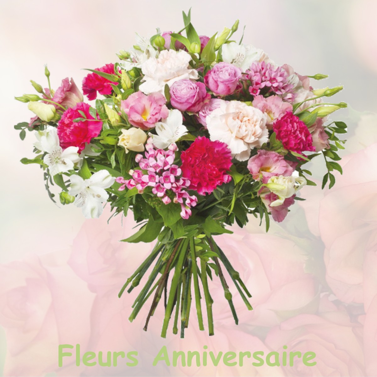 fleurs anniversaire BEAUMONT-SUR-LEZE