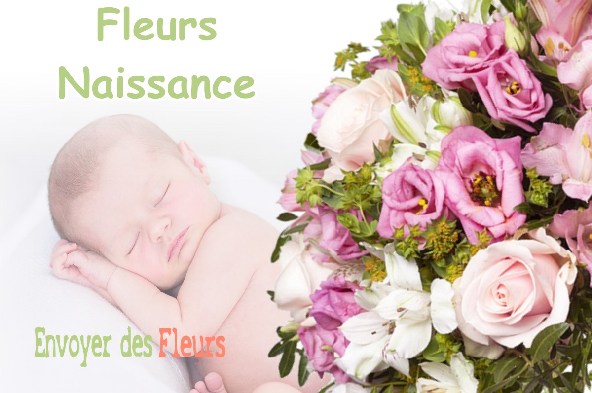 lIVRAISON FLEURS NAISSANCE à BEAUMONT-SUR-LEZE